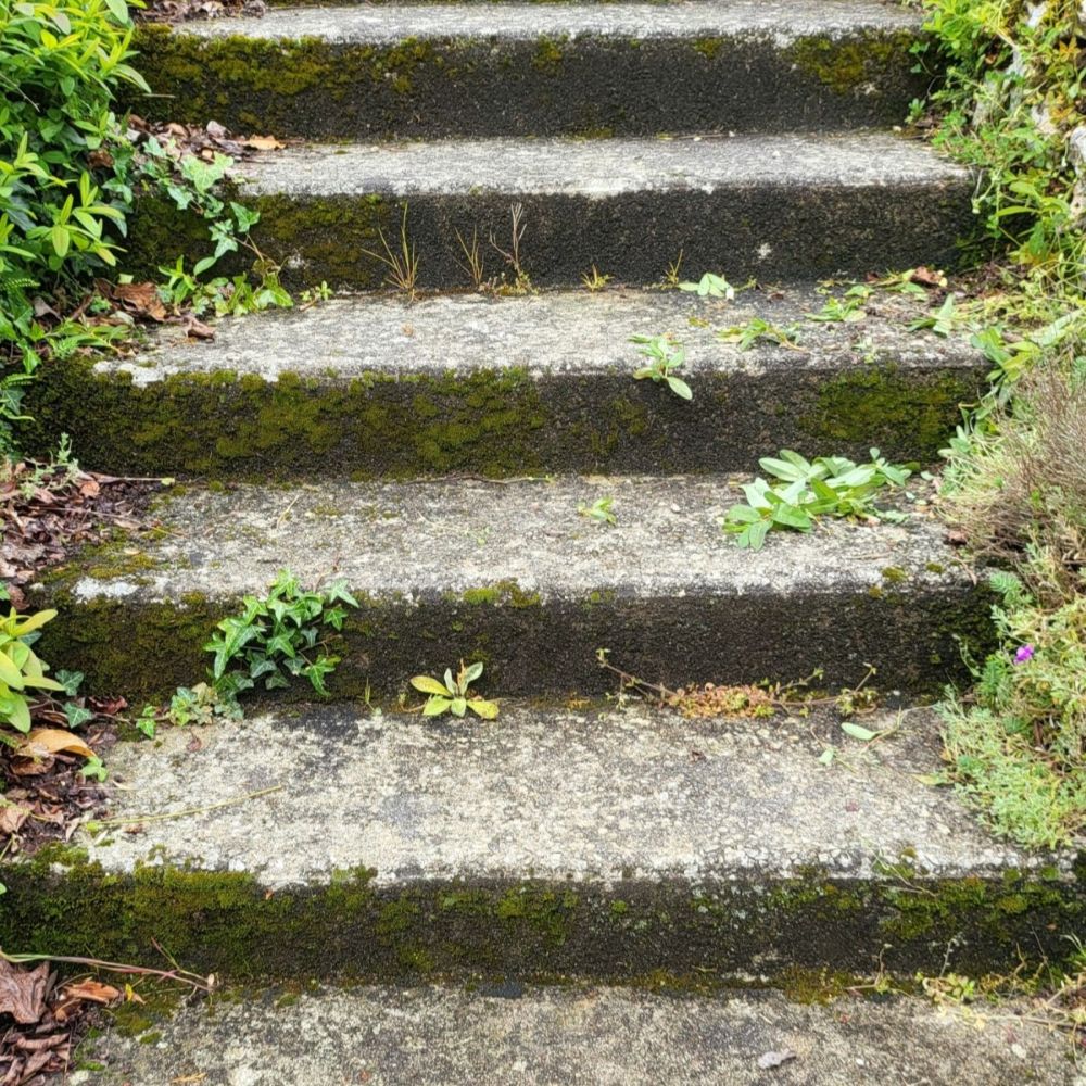 before pressure washing